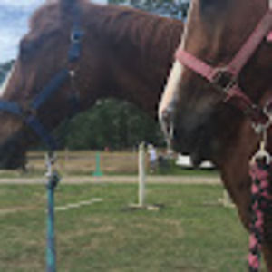 Meet your Posher, Mae